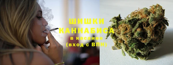 спайс Алексин